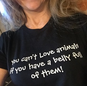 Fundraising Page: Karin Nelson